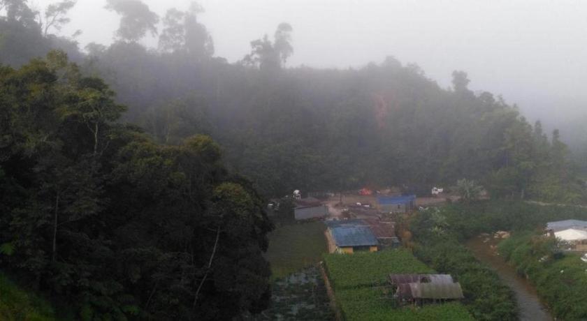 The Pines Hotel Kampung Kuala Terla Luaran gambar